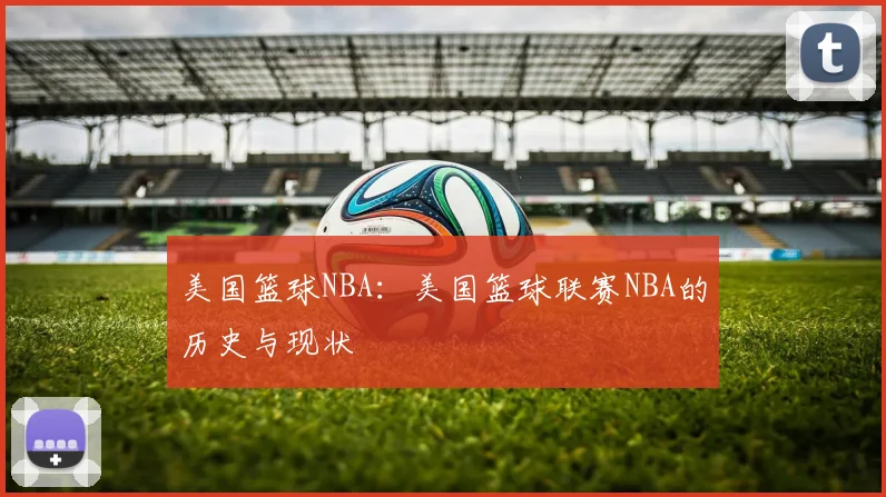 美国篮球NBA：美国篮球联赛NBA的历史与现状